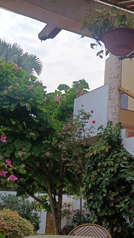 Playa Canela Hotel Boutique-官方