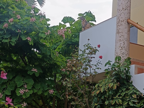 Playa Canela Hotel Boutique主图