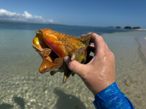 Sofrito Tours-波多黎各必去景点