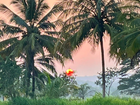 Best of Lanka-科伦坡必去景点