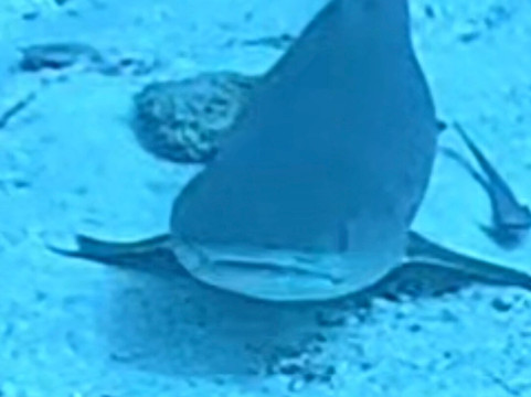 Himmafushi Scuba Adventure-Himmafushi Island必去景点