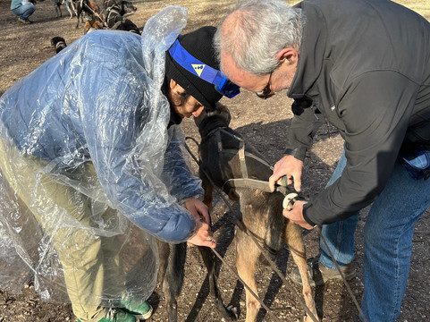 Evasion Canine-枫丹白露必去景点