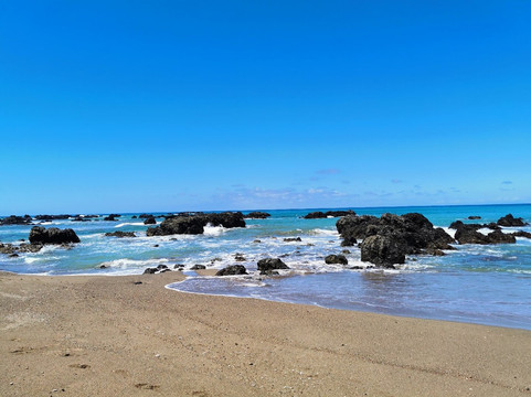 Dolphin Tours-乌维塔必去景点