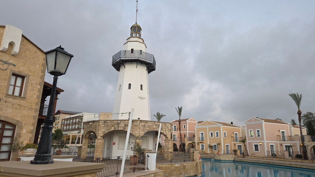 阿利亚松爱琴-泳池