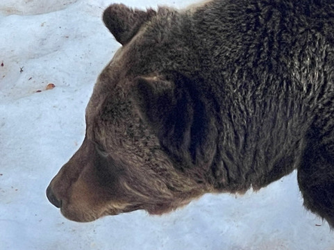 Juraparc-Vallorbe必去景点