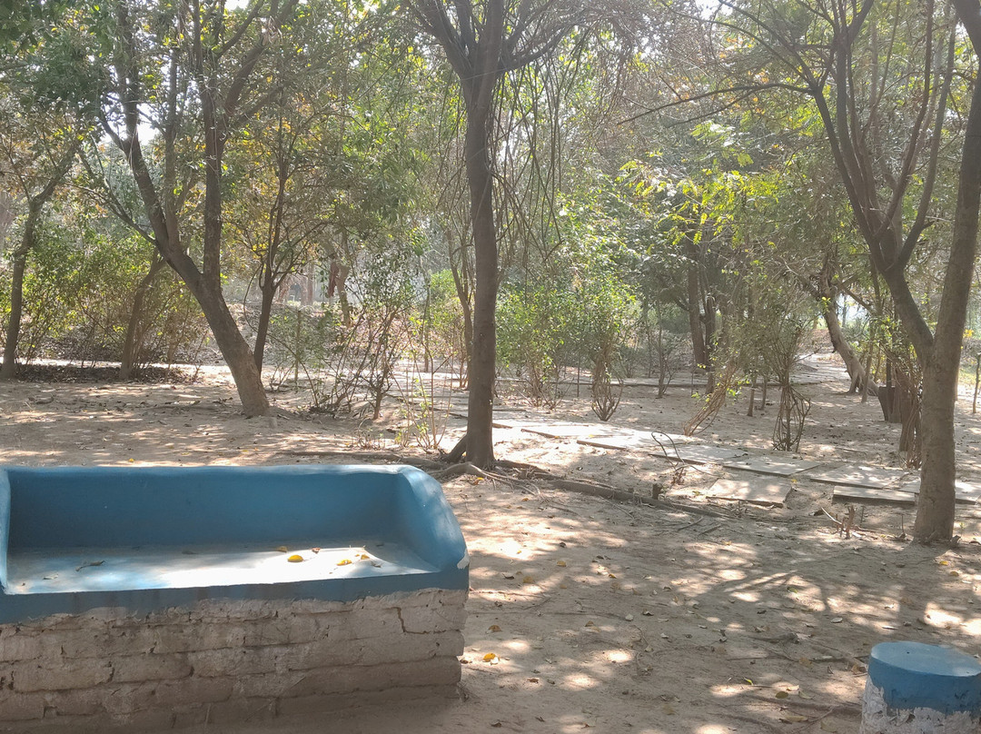 Chambal Wildlife Safari Lodge主图