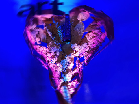 Spiktri Street Art Universe Museum-Ferrals-les-Corbieres必去景点