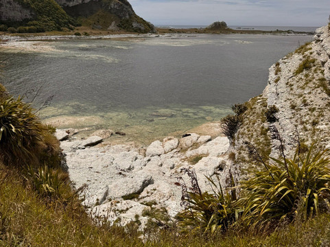 凯库拉毛皮海狮聚集区-Kaikoura必去景点