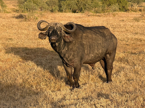 Pinnacle Alpine Tours and Treks-Naro Moru必去景点