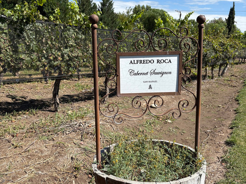 Bodega Alfredo Roca-圣拉斐尔必去景点