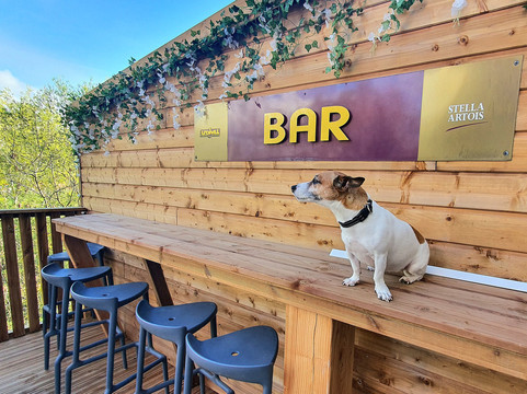 Café,resto Le Chalet主图