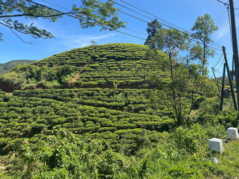 HOLIDAY WORLD TRAVEL SRI LANKA-Ragama必去景点