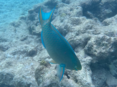 1000 Steps-博奈尔岛必去景点
