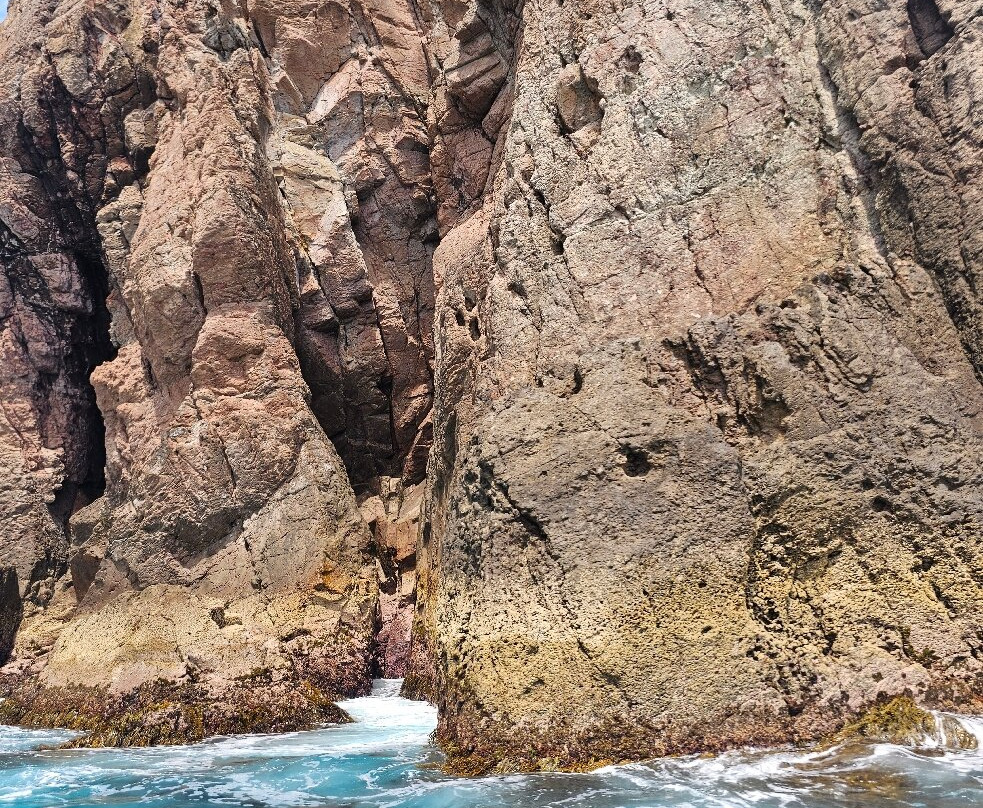 Coromandel Ocean Adventures-Tairua必去景点