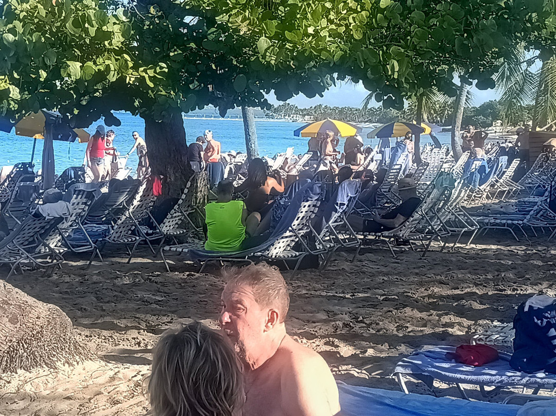 Isla Catalina La Romana-拉罗马纳必去景点