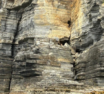 Three Capes Track-亚瑟港必去景点