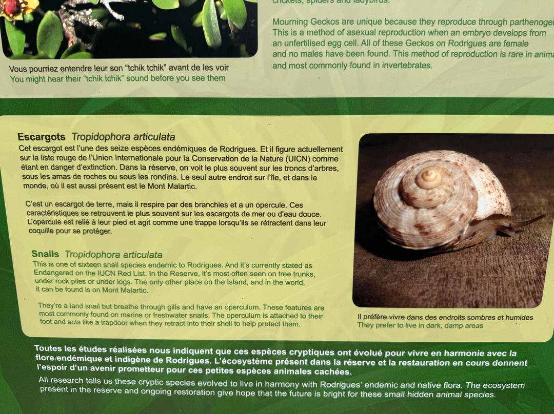 Mauritian Wildlife Foundation (MWF)-Vacoas必去景点