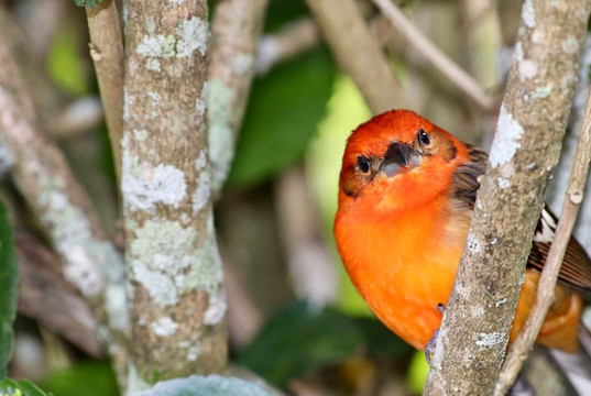 Jason Lara Tours-波魁特必去景点