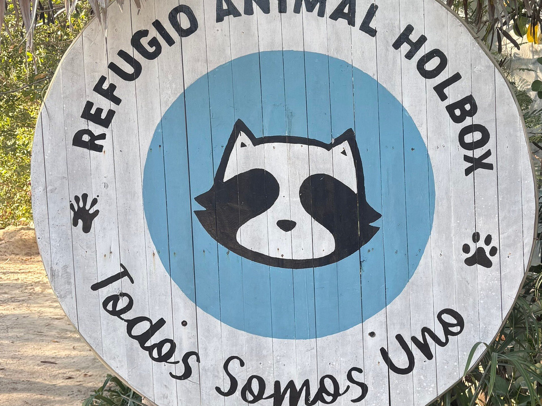 Refugio Holbox-Holbox Island必去景点