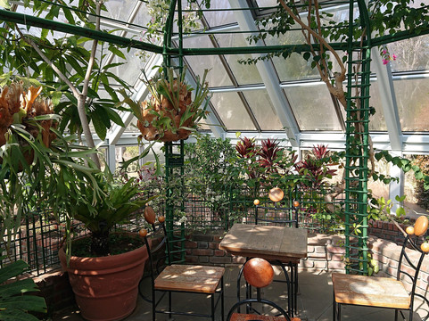 Tama City Green Live Center