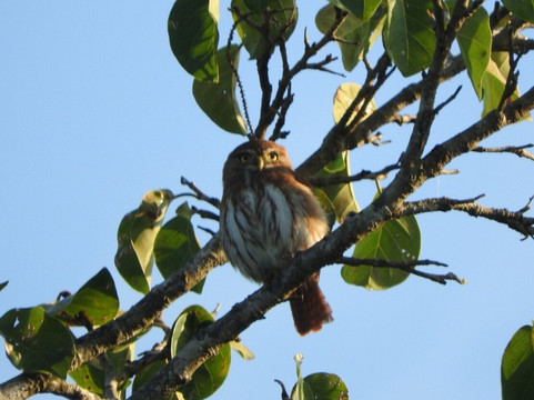 Eddy Ay Peña-Chunyaxche必去景点