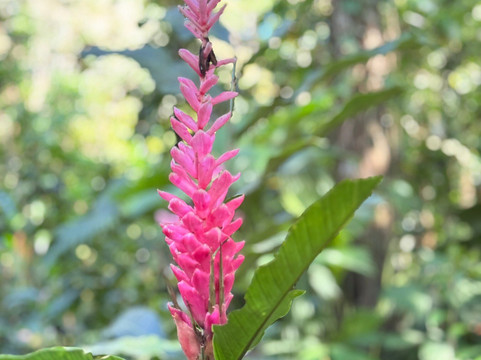 Finca Kobo-Palo Seco必去景点