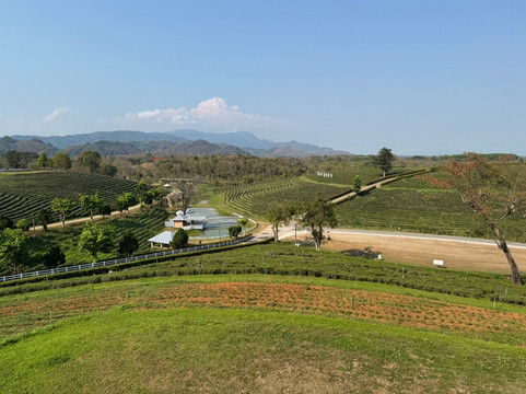 Choui Fong Tea-Pa Sang必去景点