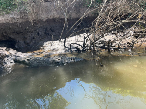 Greenway Nature Day Tours-利蒙港必去景点