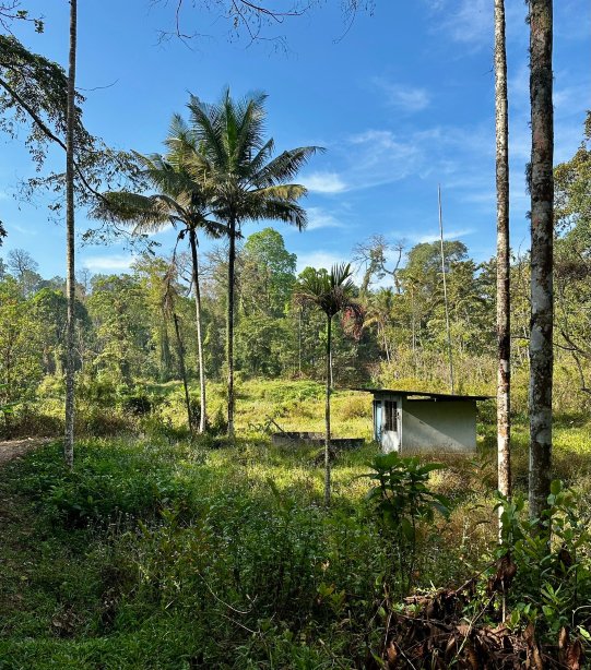 槲寄生穆纳尔酒店-官方