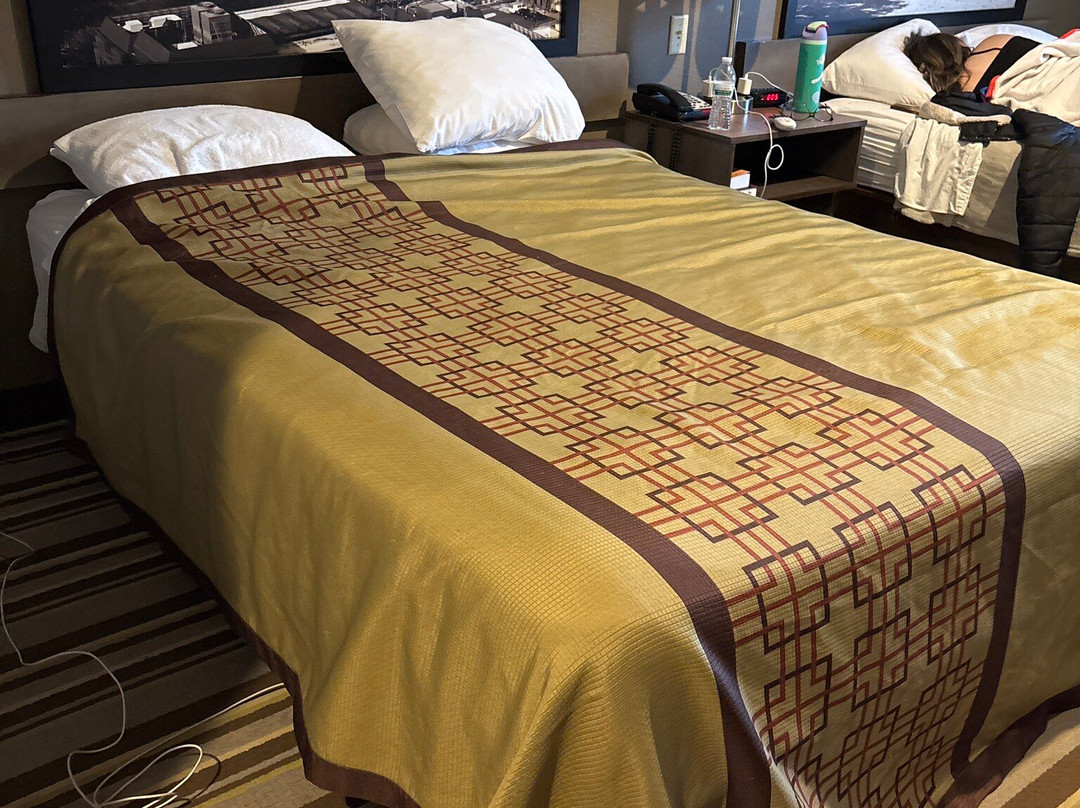 好时巧克力大道温德姆速 8 酒店主图