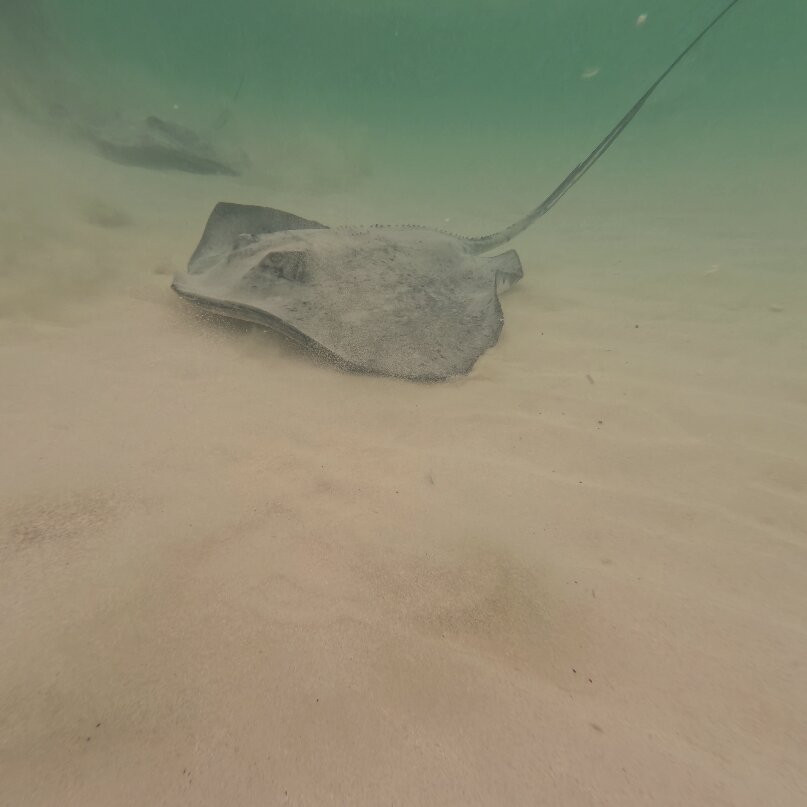 Playa El Cielo Cozumel-考祖梅必去景点