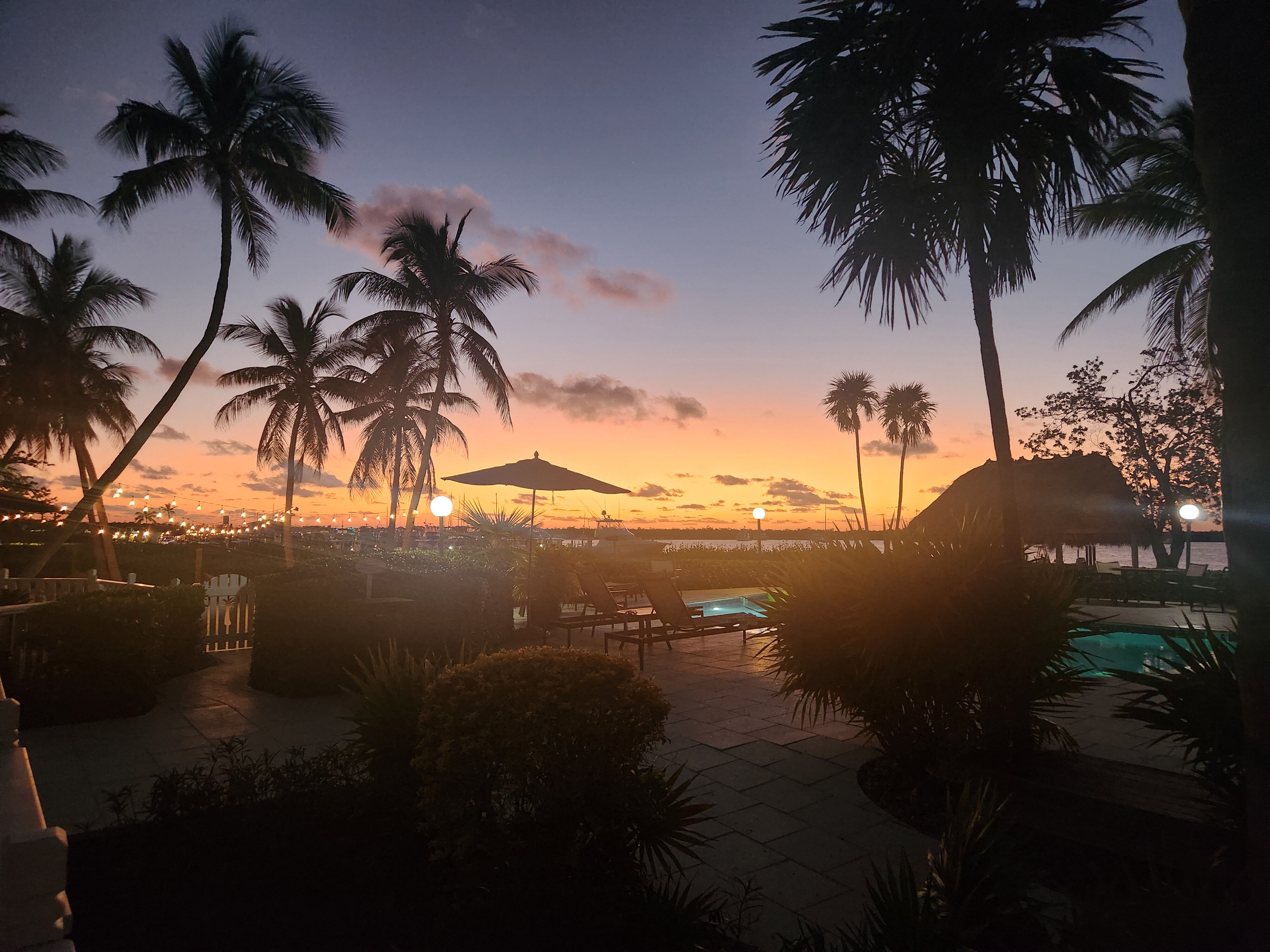 椰树棕榈树旅馆-泳池