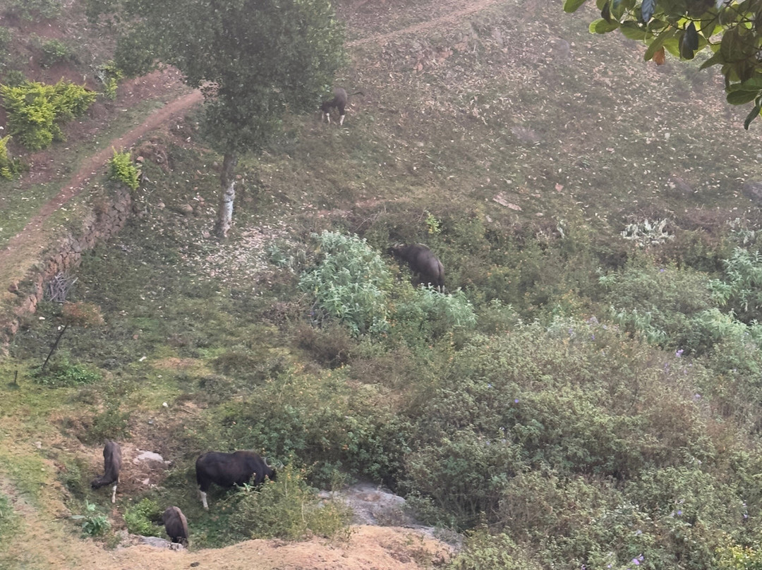 库奴尔奥兰德植物农场住宿主图