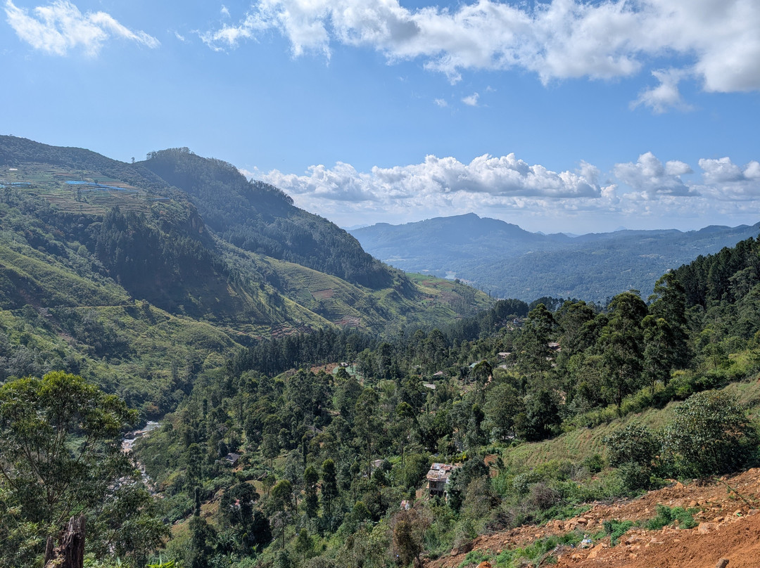 Kandyan Royal Taxi-康提必去景点