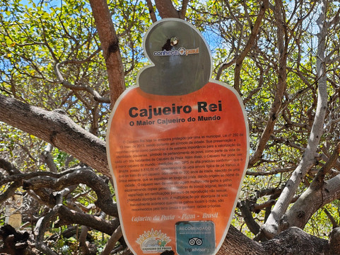 Guará Transfer & Tourism - Barra Grande-Barra Grande必去景点