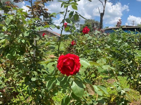 Vinícola Ifanger-维涅杜必去景点