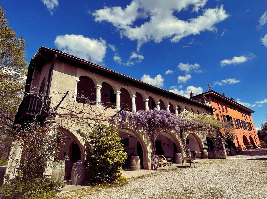 Azienda Agricola La Torre-Mocasina必去景点