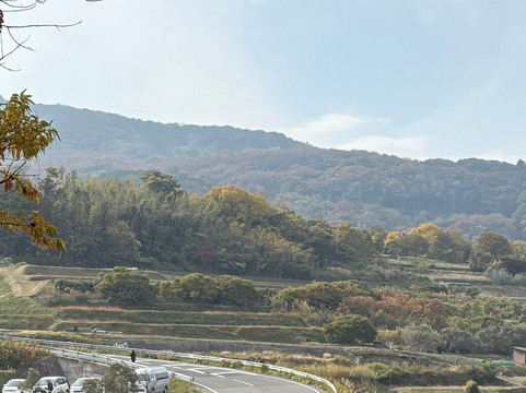 Teshima Terraced Rice Field Project-Teshima必去景点
