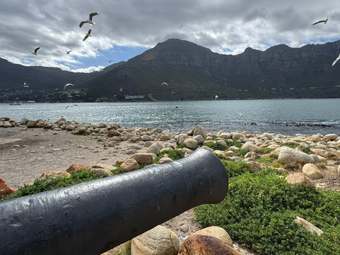 Bay Harbour Market-木湾必去景点