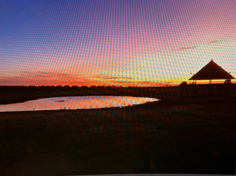 Kenya Safari Con Kassim Luigi-瓦塔木必去景点