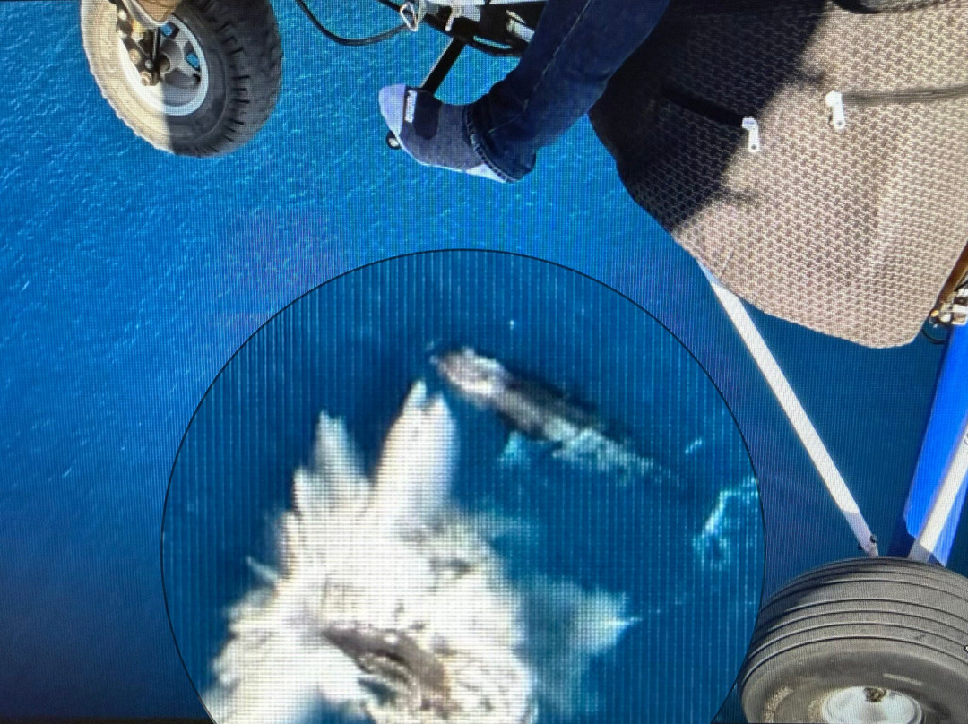 Cabo Sky Tours-卡波圣卢卡斯必去景点