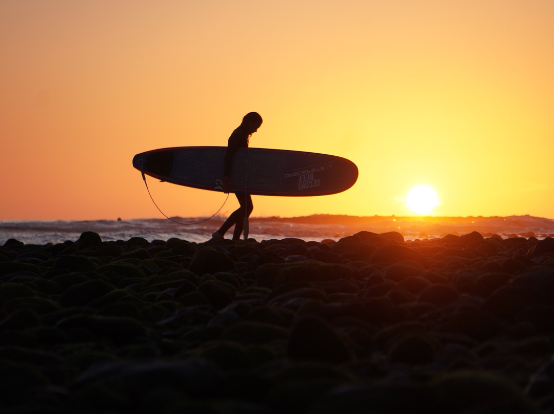 Maspalomas Surf Experience, en Gran Canaria-大加纳利必去景点