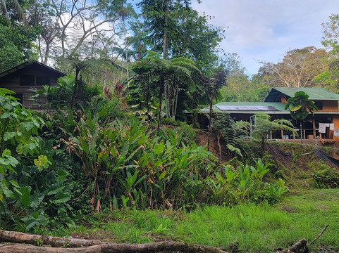 Ave Azul de la Osa-Carate必去景点