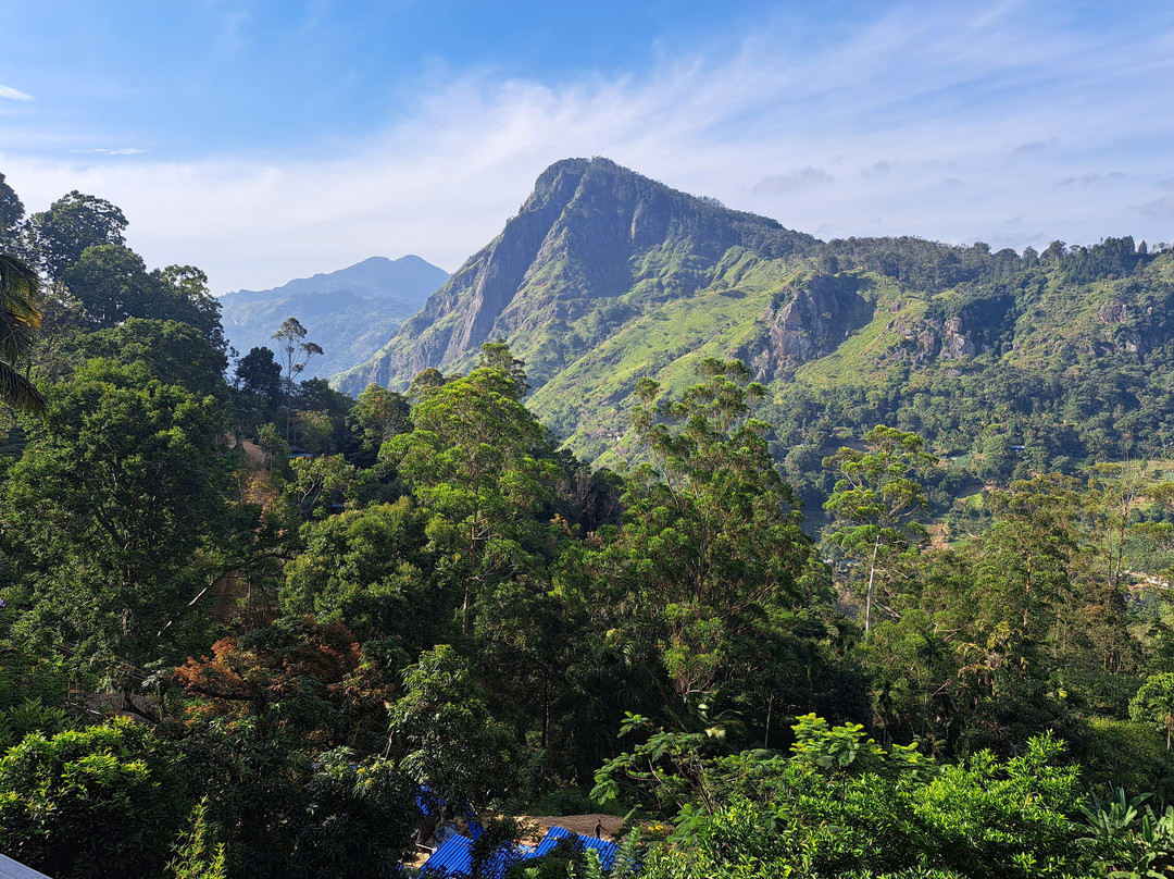 Amith Tours & Travels-班托塔必去景点