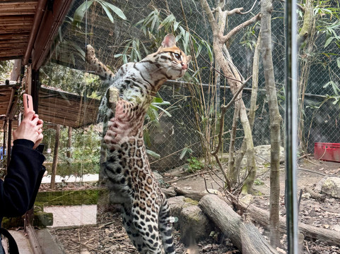 Parco Natura Viva-布索伦戈必去景点