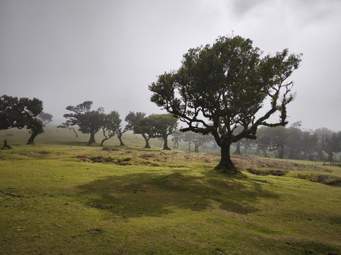 Madeira with Linda-沙尔必去景点