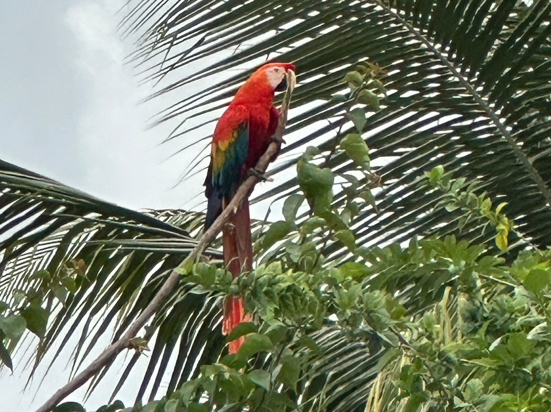 Casamuseuacre-Rio Branco必去景点