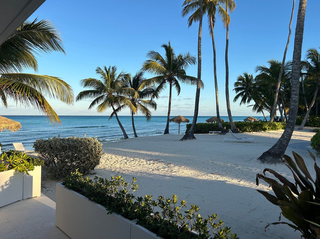 Caerula Mar Club主图