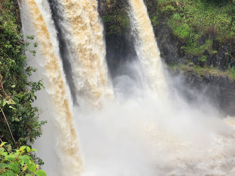 Discover Paradise Adventures-希洛必去景点