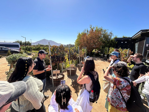 Viña Santa Ema-Isla de Maipo必去景点
